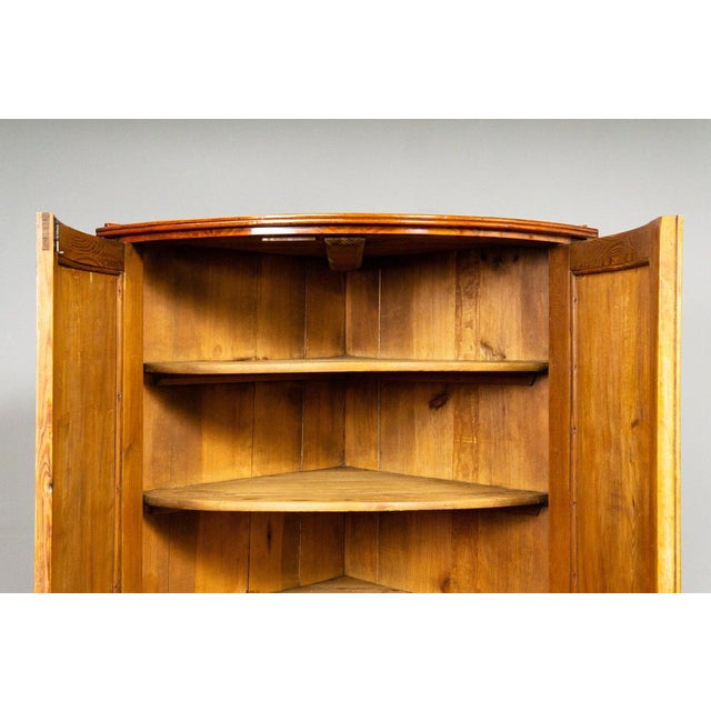 19th Century Biedermeier Corner Cabinet in Birch For Sale - Image 11 of 18