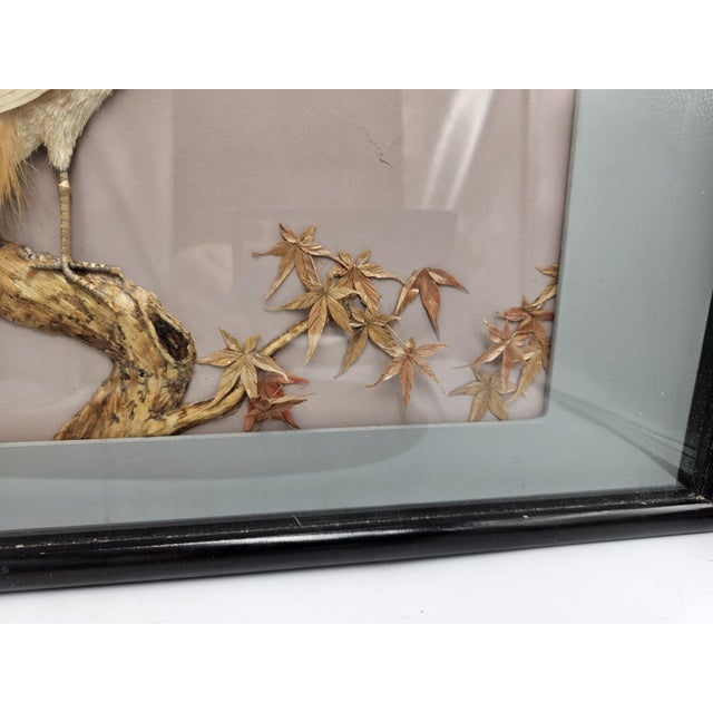 1950s Japanese Peacock Picture in a Frame, 1950s For Sale - Image 5 of 9