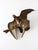 Metal Mid-Century Brass Eagle Sculpture For Sale - Image 7 of 10