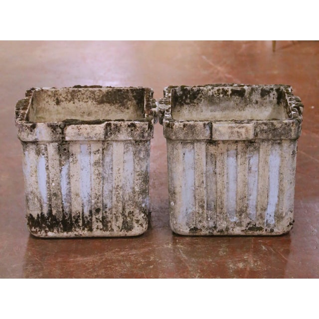 French Pair of 19th Century French Normandy Cast Stone Garden Planters For Sale - Image 3 of 11