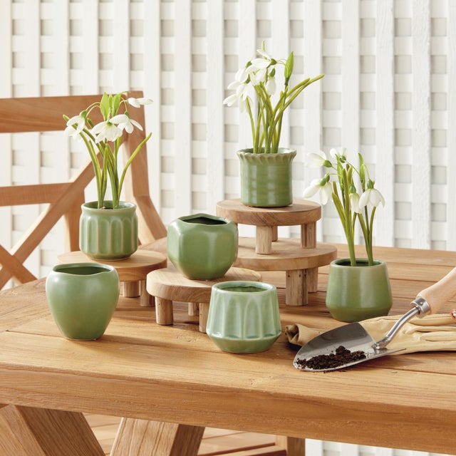 Dezie Mini Pots, Set Of 6 For Sale - Image 14 of 14