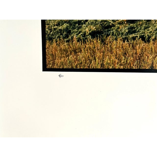 Realism 1992 Maxwell Mackenzie, Farm Summer Landscape, Large Panoramic Vintage Color Photograph For Sale - Image 3 of 7