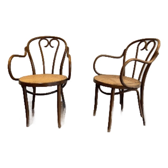 Antique Bentwood and Cane Armchairs For Sale