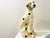 Ceramic 1950s A Lifesize Signed Decorative Mid Century Modern Ceramic Dalmatian Dog For Sale - Image 7 of 9