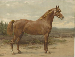 Otto Eerelman, Dutch Gelderland Horse, 1898, Chromolithograph