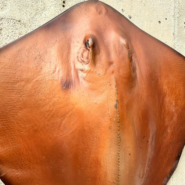 Plastic Vintage Boho Life Size Fiberglass Stingray For Sale - Image 7 of 7