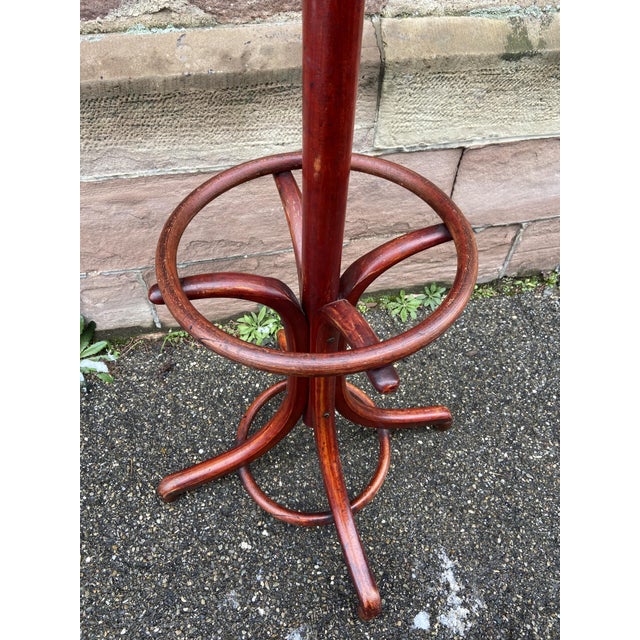Parrot Coat Rack in Bentwood from Fischel, 1925 For Sale - Image 3 of 9