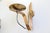 Metal Four Wall Lights Model B464 by Sergio Asti for Candle, 1968, Set of 2 For Sale - Image 7 of 18