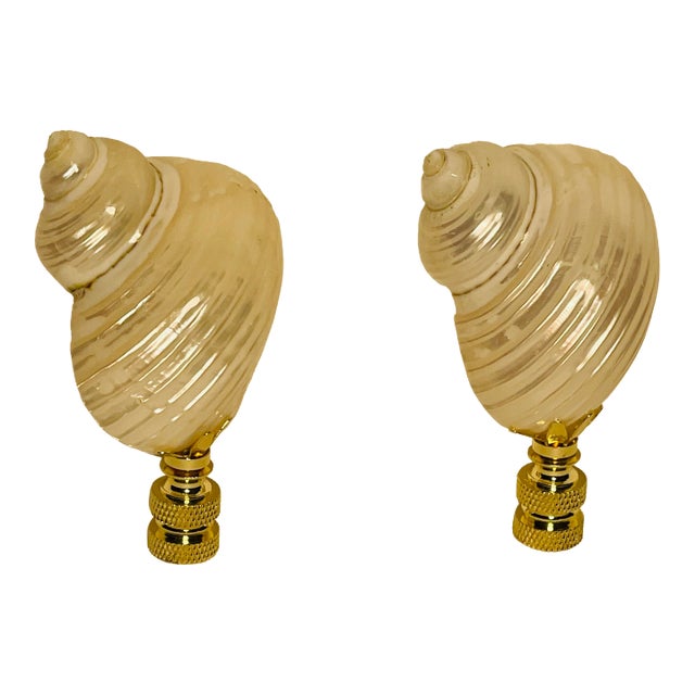 1970s Mother of Pearl Turbo Sea Shells Lamp Finials - a Pair For Sale