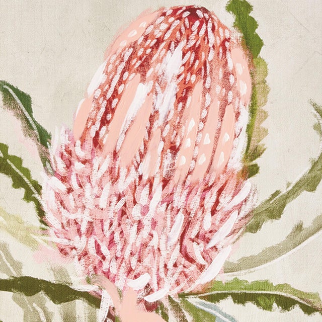 Contemporary Queen Protea Giclees, Set Of 3 For Sale - Image 3 of 6