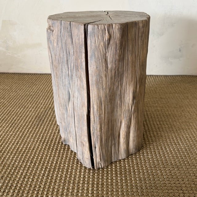 16" x 12" x 16"H Natural elm wood stump featuring unique grain patterns and organic character. Each stump is one-of-a-kind...