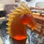 Christian Dior 1990s Modern Amber and Brown Heavy Murano Glass Sculpture of an Horse Head 4 For Sale - Image 4 of 12