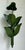 Vintage Green Banana Leaf Six Arm Chandelier For Sale - Image 9 of 12