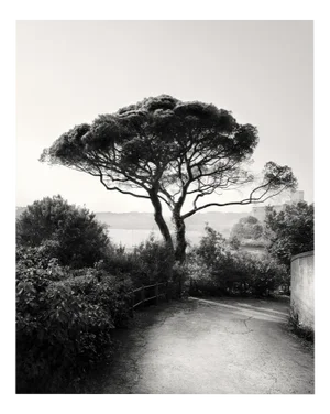 Bay of Poets -Black and White Italian Coast Photography, Limited Edition 3 of 20 2023