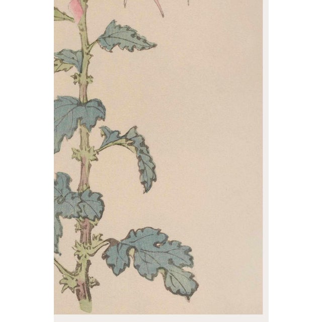 Not Yet Made - Made To Order Pink Floral Giclee, Vintage Japanese Botanical Art Print, 8" X 12" For Sale - Image 5 of 8