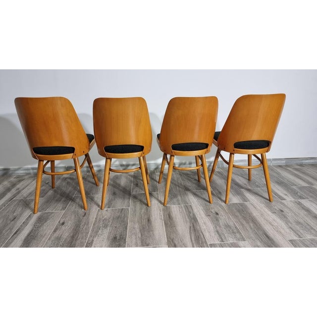 Wood Dining Chairs by Radomir Hoffman for Ton, 1950s, Set of 4 For Sale - Image 7 of 14