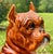 Italian Terracotta Boxer Dog Statue c.1960s For Sale - Image 4 of 17