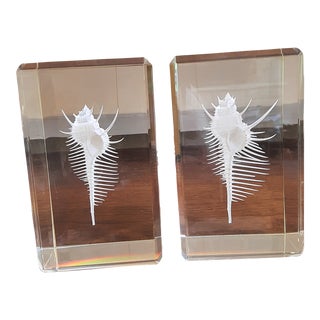 Mid Century Floating Seashell Organic Lucite Blocks - Set of 2 For Sale