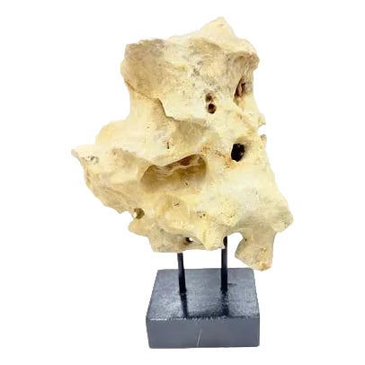 Indonesian Coral Stone On Teak Stand For Sale