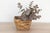 Discover the honest beauty and enduring utility of rural craftsmanship with this charming small vintage wooden bucket....
