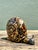 Vintage Coconut Shell Snail For Sale - Image 4 of 12