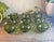 Mid-Century Modern Vintage Mid-Century Modern Indiana Glass Kings Crown Thumbprint Avocado Green Coffee / Punch Cups Set of 9 For Sale - Image 3 of 5