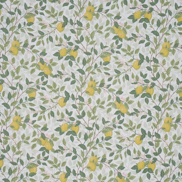 Early 21st Century Boråstapeter Citronträd Fabric In Ivory And Leaf For Sale - Image 5 of 5