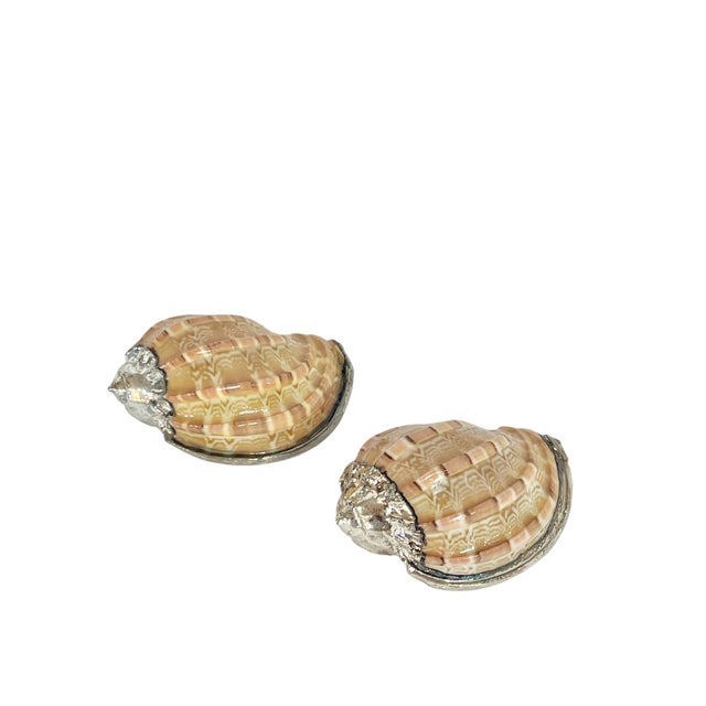 Pair of vintage partially silvered real harp shells. These are very slightly different in color.