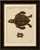 Original antique print of sea turtle and freshwater turtle by bertuch, c. 1790 original antique hand-colored copper...