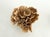 Chinoiserie Natural Unbleached Poca Coral Specimen For Sale - Image 3 of 8