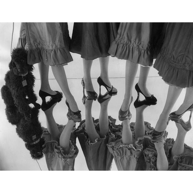 Chic Shoes 18th September 1954: A poodle adds a touch of chic to an array of footwear designed by 26-year-old Jean Matthew...