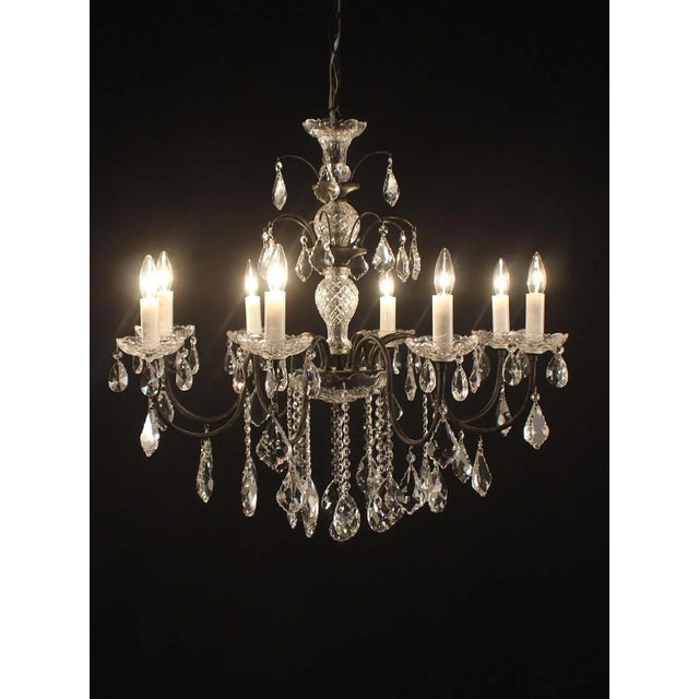 8 light, single tier Antique Black finish with gold accents chandelier and Optic Crystal trimmings White Glass Candle Slips