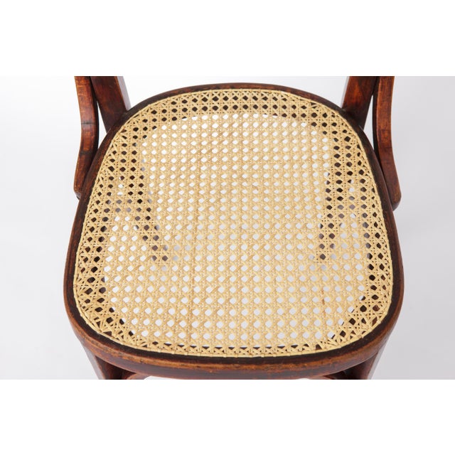 Brown Vintage Bentwood and Cane Dining Chairs, Austria, 1940s, Set of 2 For Sale - Image 8 of 10