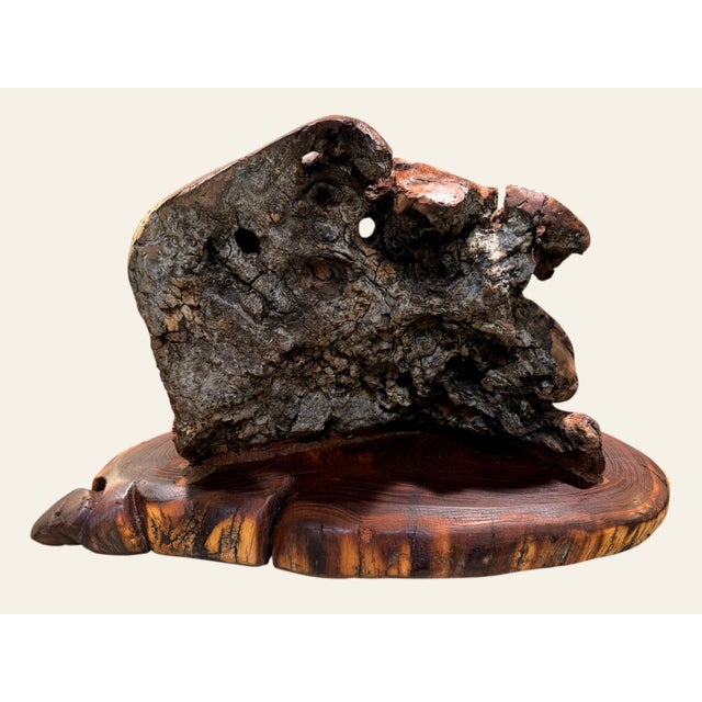 Vintage Burl Root Wood Abstract Sculpture Live Edge Base Organic Modern 17" For Sale - Image 11 of 15