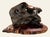 Vintage Burl Root Wood Abstract Sculpture Live Edge Base Organic Modern 17" For Sale - Image 11 of 15