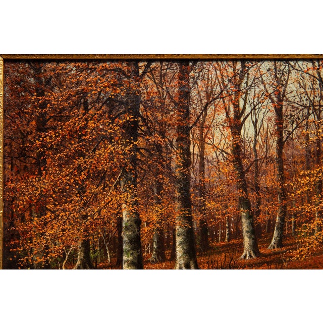 American Landscape Painting of Beech Woods in Autumn by William Snyder For Sale - Image 4 of 18