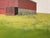 Summit County Barn by Justin Wheatley | Acrylic on Canvas Red Barn With Green Field For Sale - Image 10 of 10