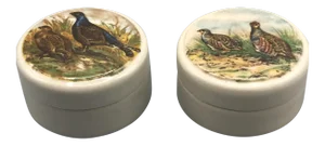 1950s English Traditional Game Bird Boxes - a Pair