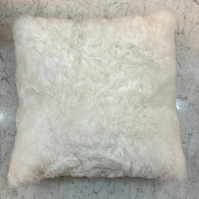 Gorgeous alpaca fleece pillow in a soft white. It is fury and soft and cozy and delightful. It has a zipper on the suede...