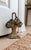 Victorian 1930s Hubley #152 Cast Iron Basket of Flowers Doorstop With Original Paint For Sale - Image 3 of 10