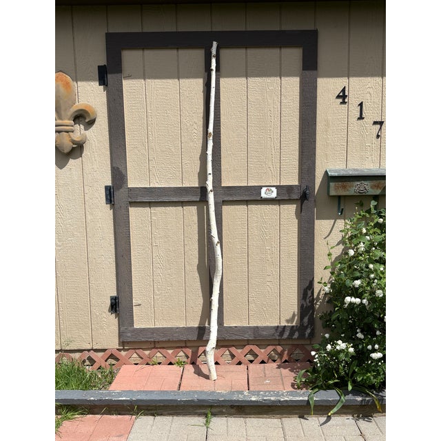 American Birchwood Branch Piece for Decoration, Style H For Sale - Image 3 of 3