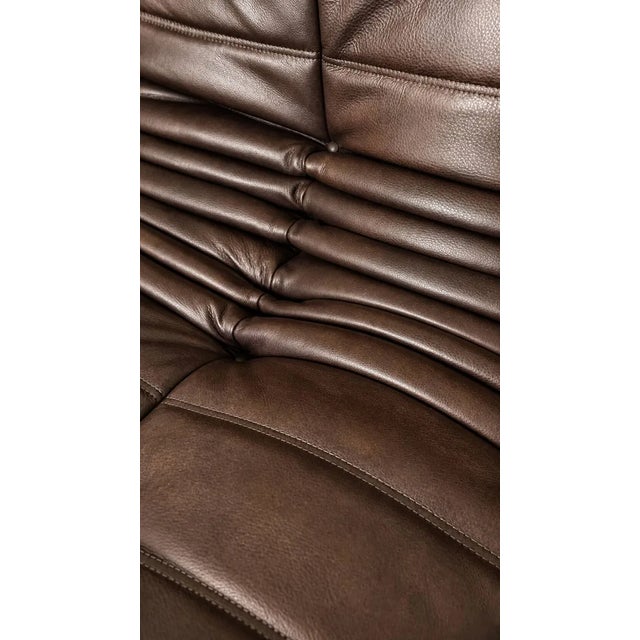 Late 20th Century Late 20th Century A 2-Seater Sofa Michel Ducaroy / Ligne Roset Brown Leather For Sale - Image 5 of 9