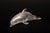 Nautical Hand-Carved Rock Crystal Dolphin For Sale - Image 3 of 6