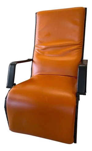 Antropovarius Lounge Chair by Ferdinand Alexander Porsche for Poltrona Frau