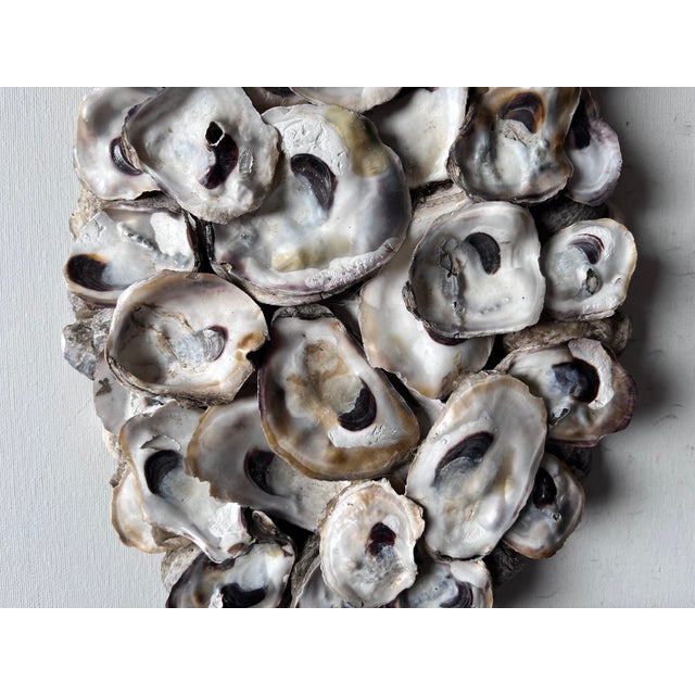 Oly Studio Oyster Shell & Wrought Iron Candle Sconces-a Pair For Sale - Image 4 of 8