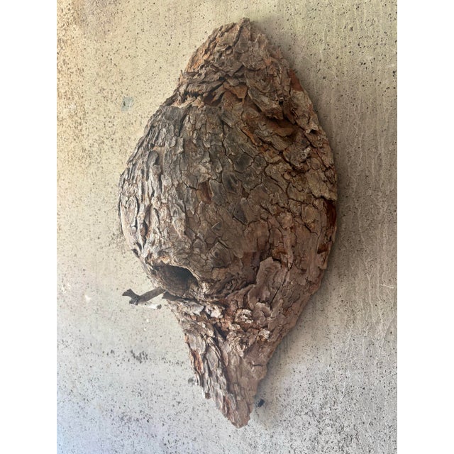 1960s Vintage Mid-Century American Folk Art Bird Nest Tree Bark Wall Sculpture For Sale - Image 5 of 7