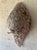1960s Vintage Mid-Century American Folk Art Bird Nest Tree Bark Wall Sculpture For Sale - Image 5 of 7