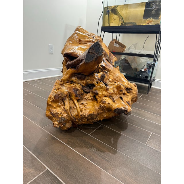 Early 20th Century Large Sculptural Natural Root Wood Pedestal / Accent Table, 34” For Sale In New York - Image 6 of 6