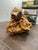 Early 20th Century Large Sculptural Natural Root Wood Pedestal / Accent Table, 34” For Sale In New York - Image 6 of 6