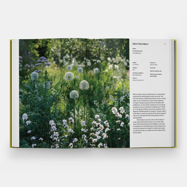 A Year in Bloom Flowering Bulbs for Every Season Book For Sale - Image 9 of 9